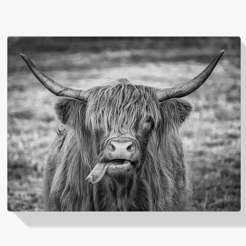 Pintura Diamante - Imagen en blanco y negro de un Montañés escocés