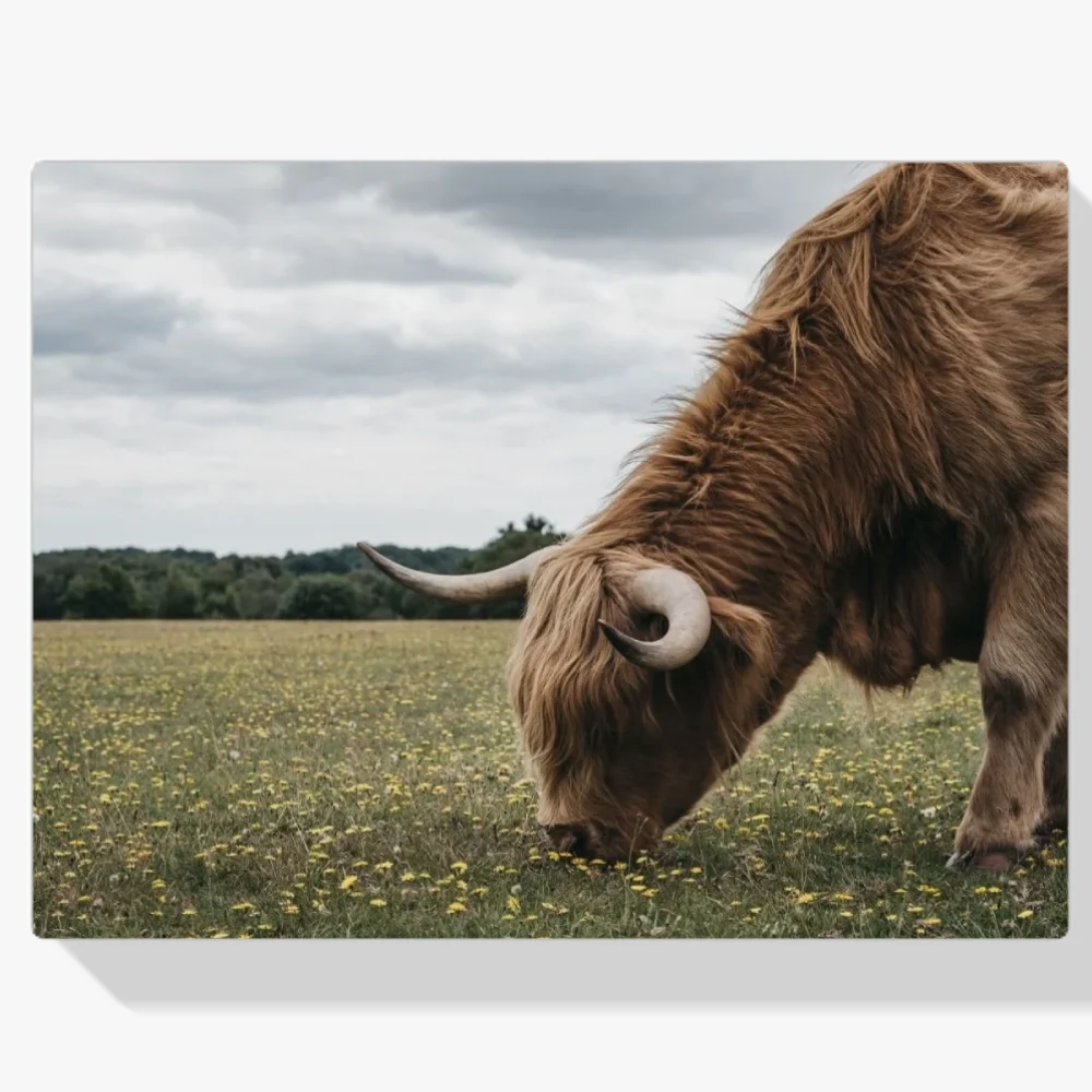 Pintura Diamante - Montañés pastando en el parque de Nueva Forestía