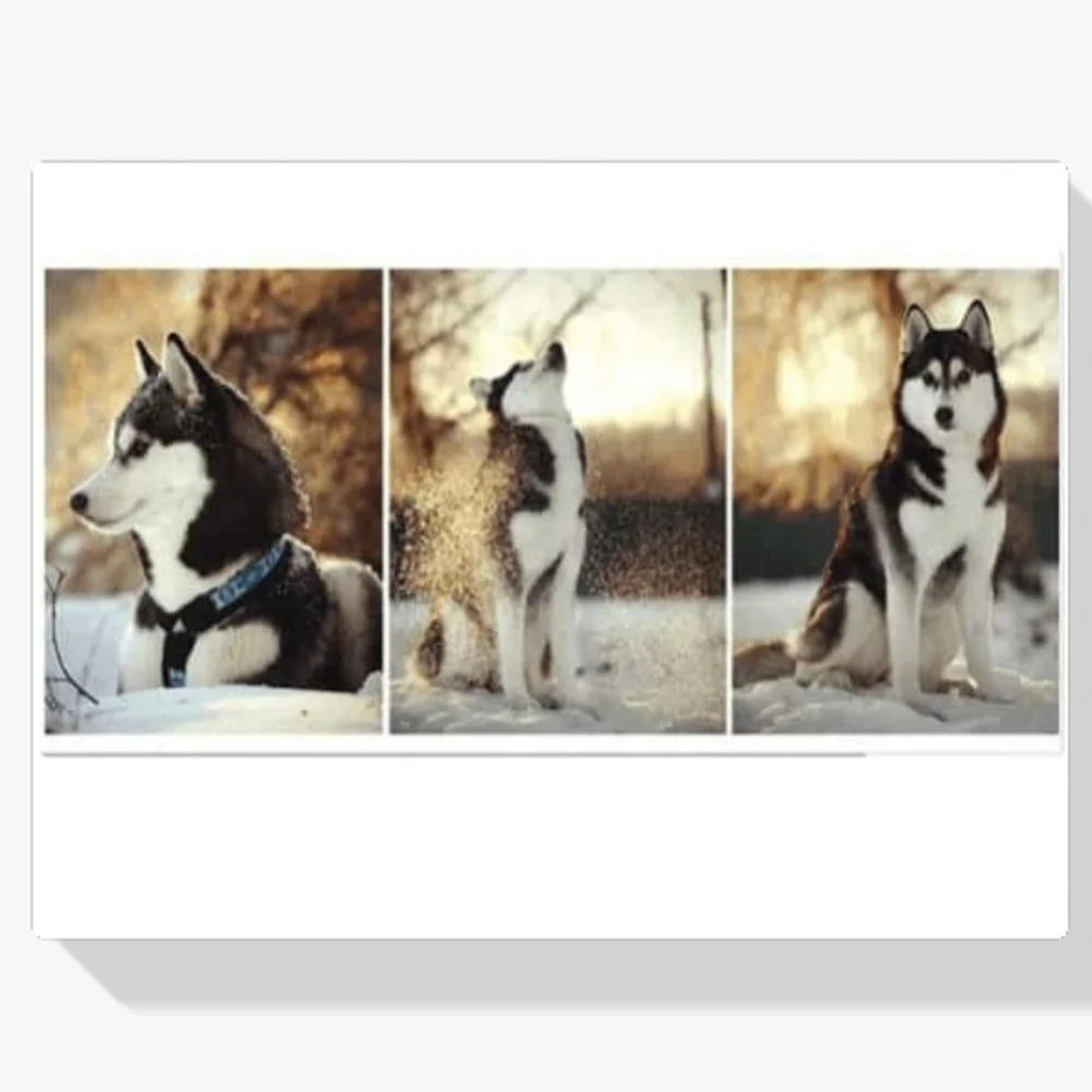 Pintura Diamante - Husky 3 escotillas