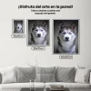 Pintura Diamante - Husky con ojos de cachorro