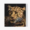 Pintura Diamante - Jaguar