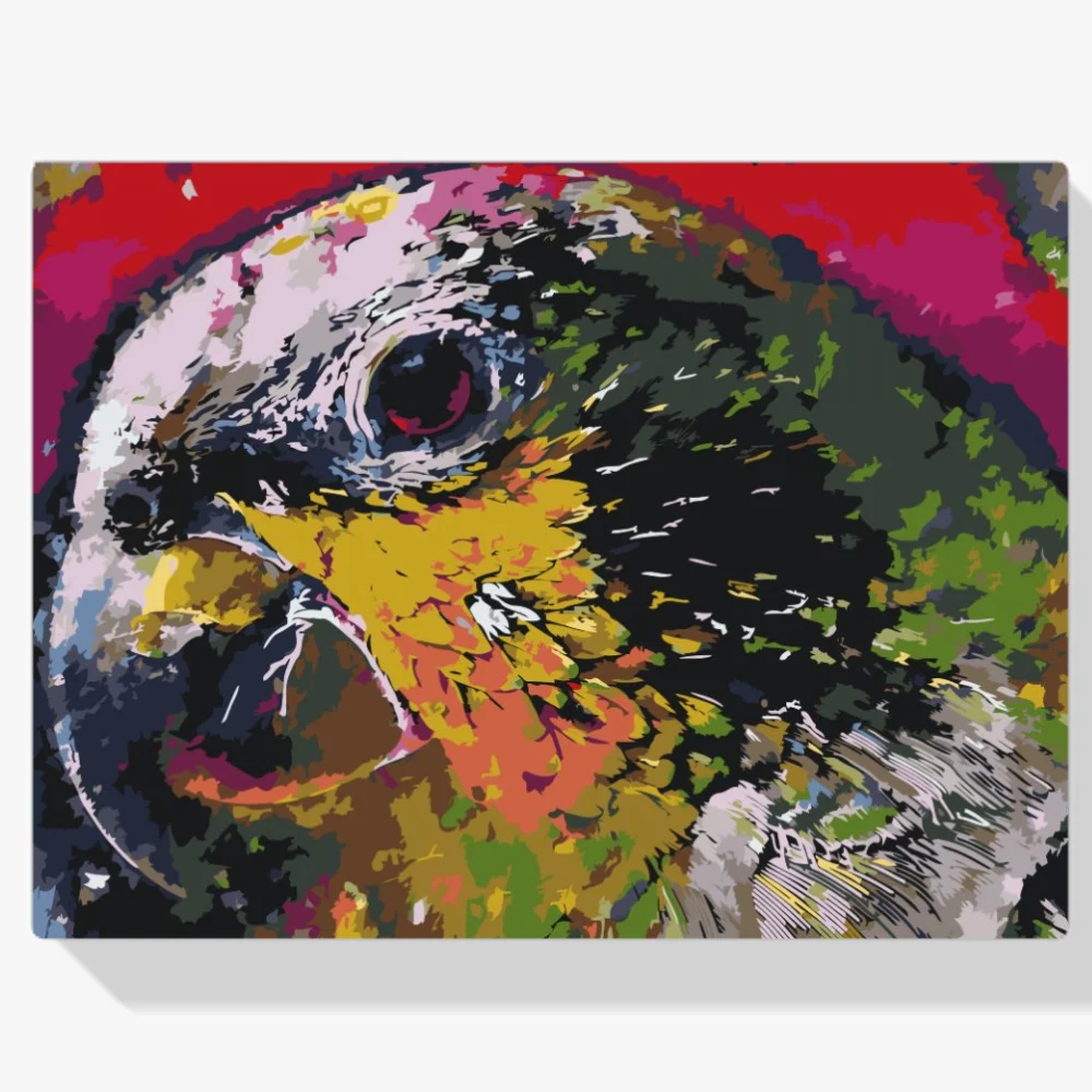 Pintura Diamante - La cabeza de un loro