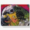Pintura Diamante - La cabeza de un loro