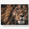 Pintura Diamante - La mirada depredadora de un león