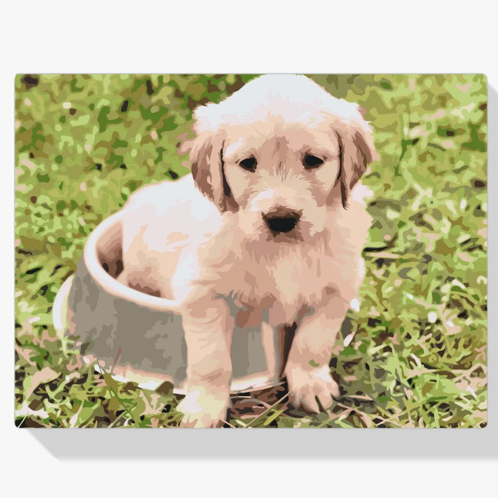 Pintura Diamante - Labrador en un cuenco