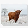 Pintura Diamante - Lanudo montañés escocés en pastos de invierno