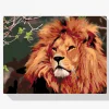 Pintura Diamante - León