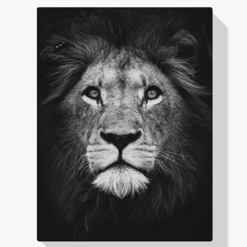 Pintura Diamante - León blanco y negro