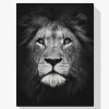 Pintura Diamante - León blanco y negro