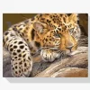 Pintura Diamante - Leopardo