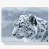 Pintura Diamante - Leopardo blanco