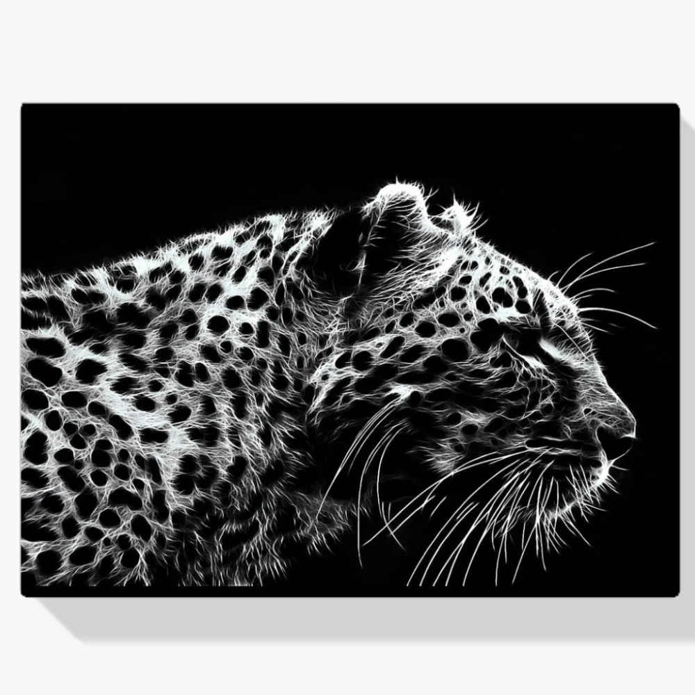 Pintura Diamante - Leopardo blanco y negro