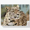 Pintura Diamante - Leopardo en la naturaleza