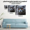Pintura Diamante - Lindo gatito