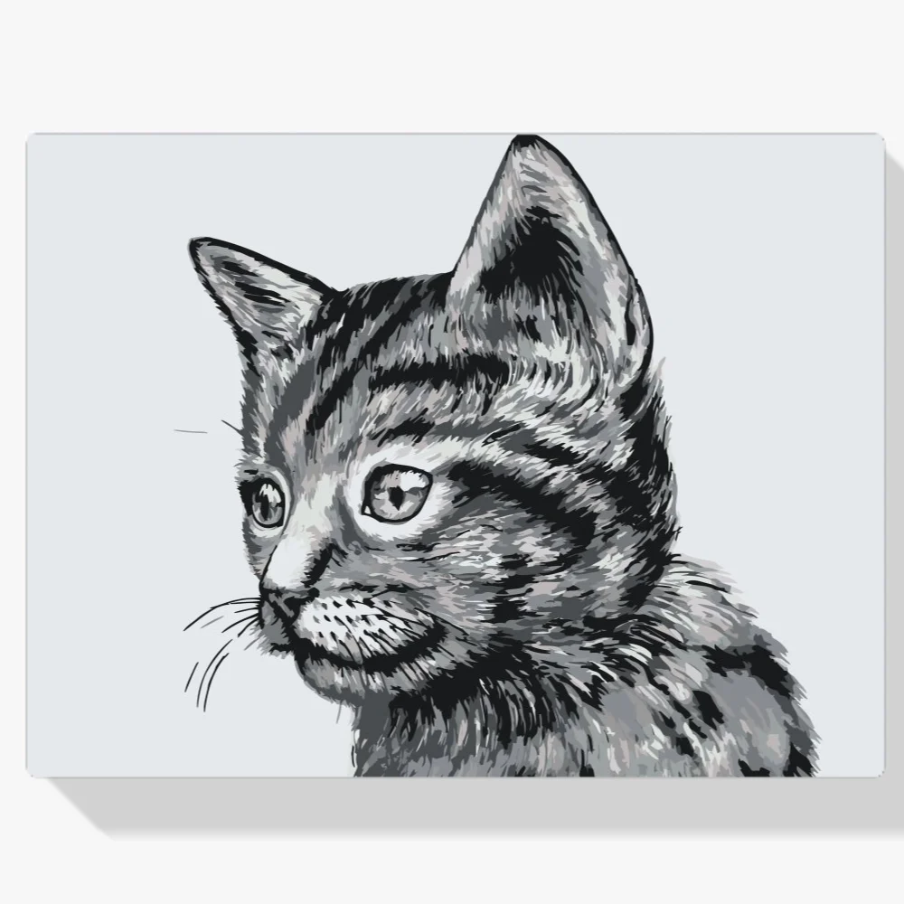 Pintura Diamante - Lindo gatito blanco y negro