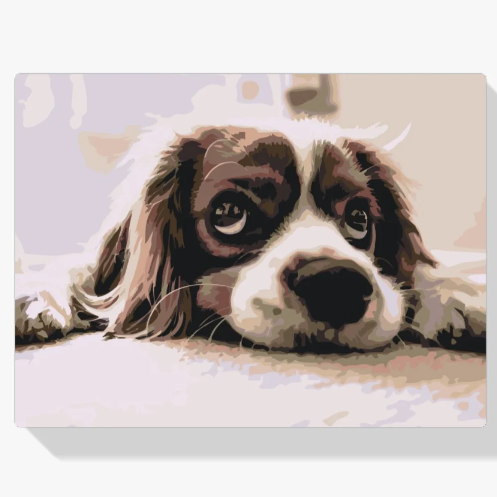 Pintura Diamante - Lindo perro