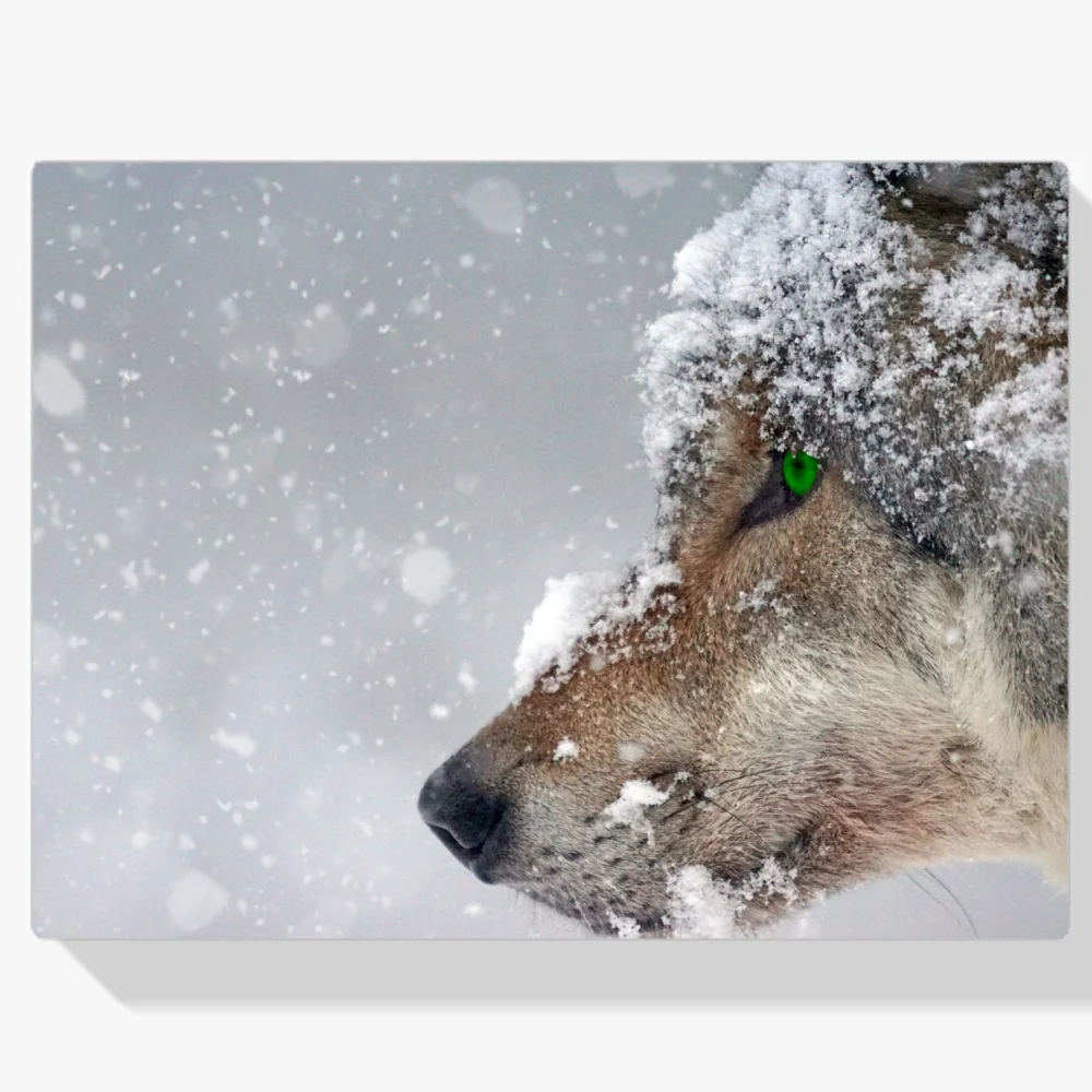 Pintura Diamante - Lobo