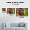 Pintura Diamante - Loro