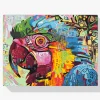 Pintura Diamante - Loro colorido