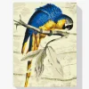 Pintura Diamante - Loro vintage