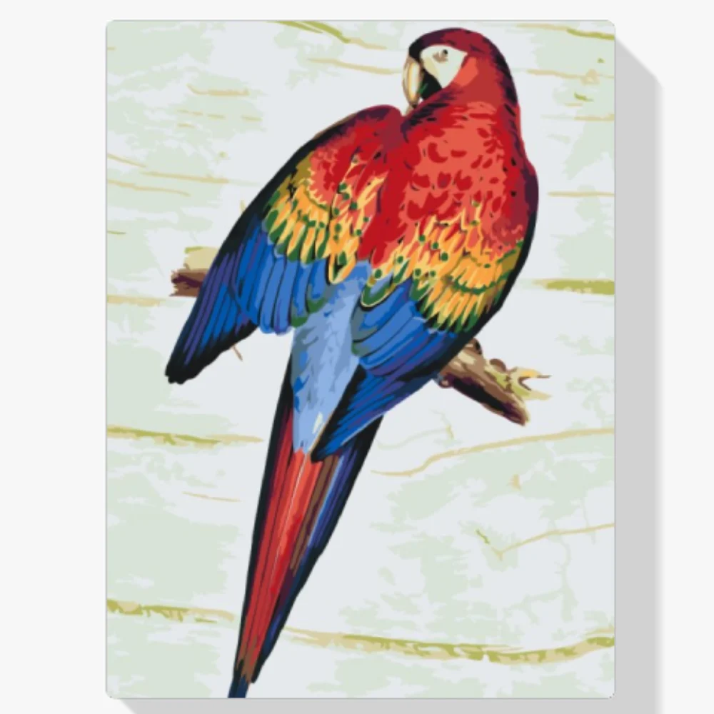 Pintura Diamante - Loro vintage 2