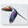 Pintura Diamante - Loro volador