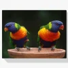 Pintura Diamante - Loros