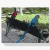 Pintura Diamante - Loros en el parque