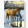 Pintura Diamante - Los caballos beben agua