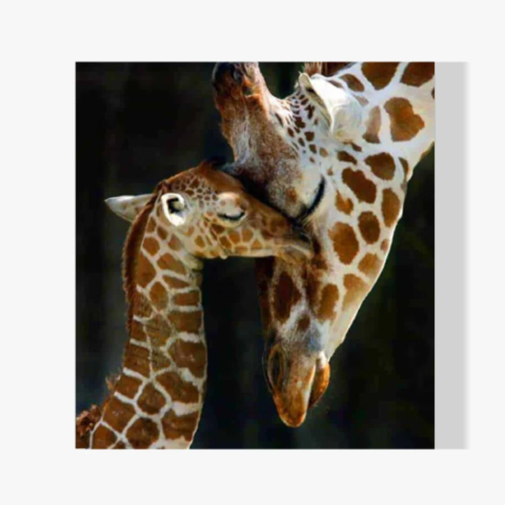 Pintura Diamante - Madre jirafa con su pequeño