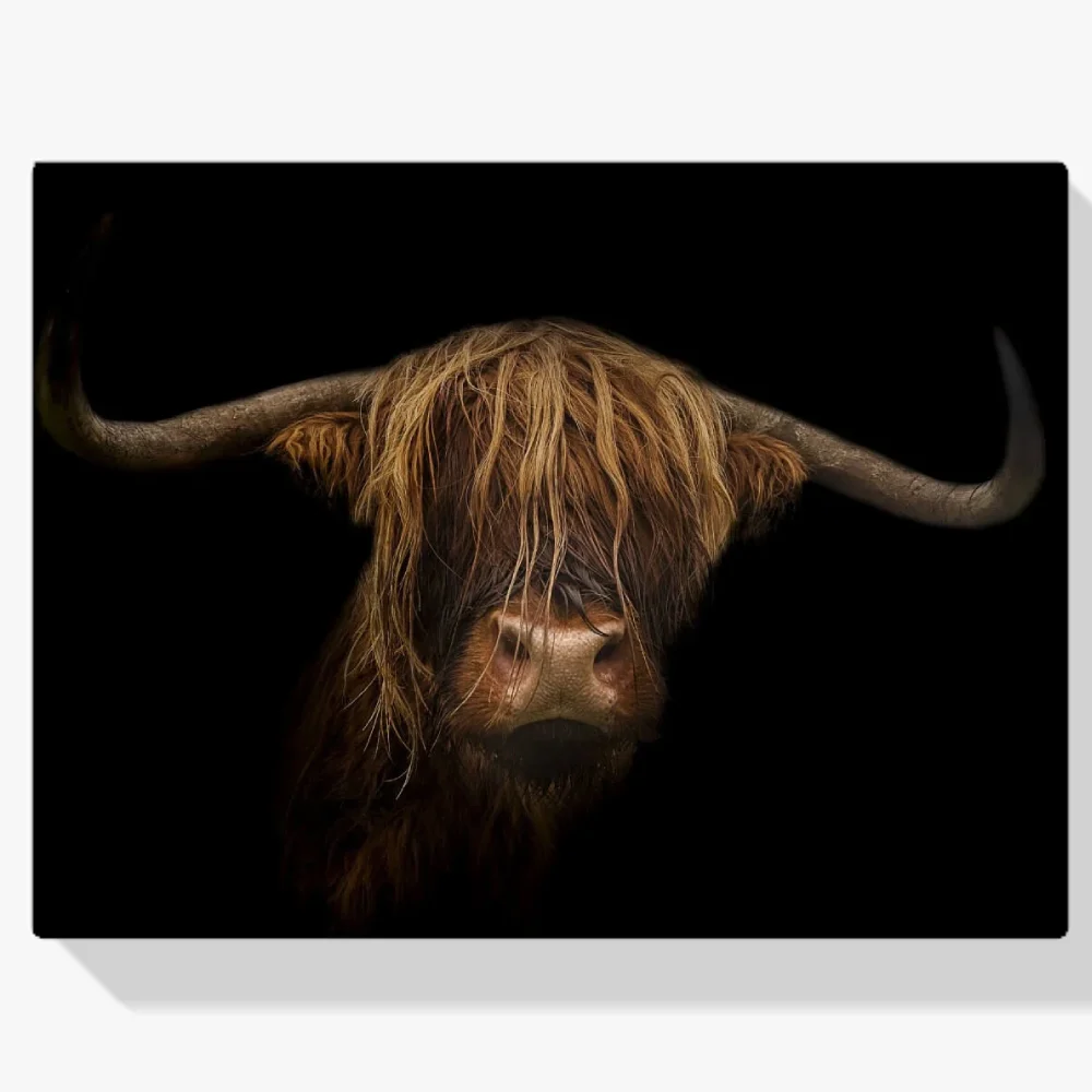 Pintura Diamante - Majestuoso montañés escocés a la vista