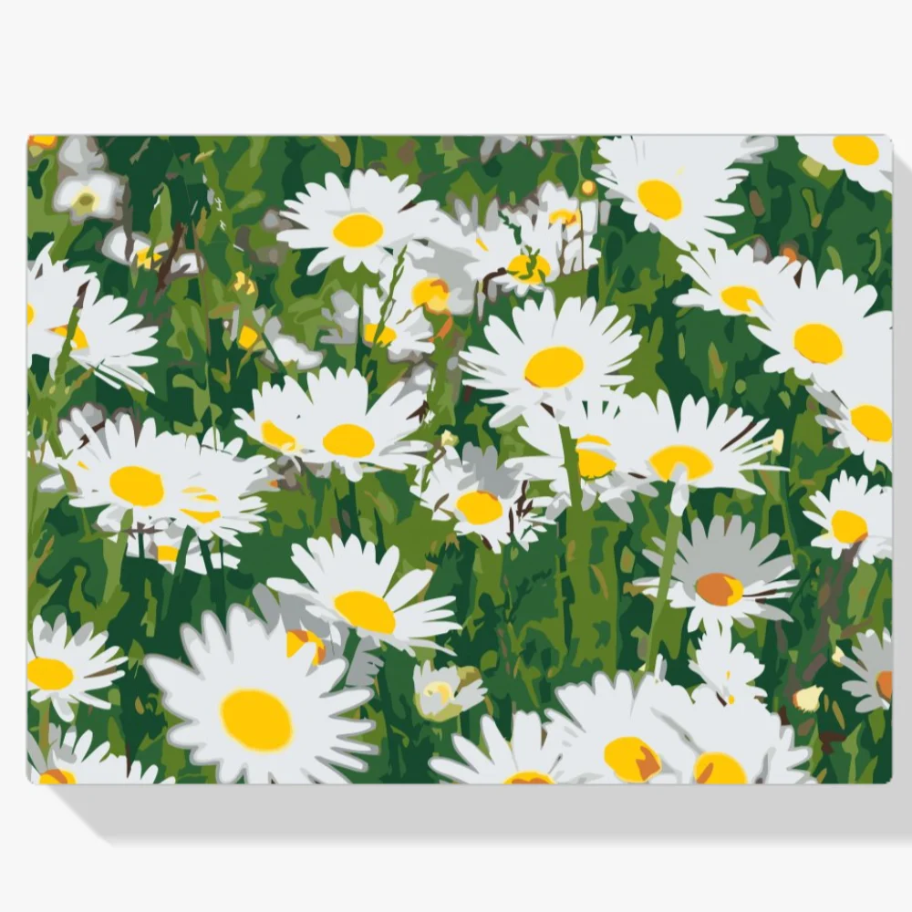 Pintura Diamante - Margaritas en el prado