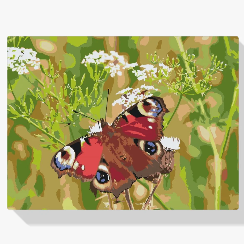 Pintura Diamante - Mariposa en la hierba