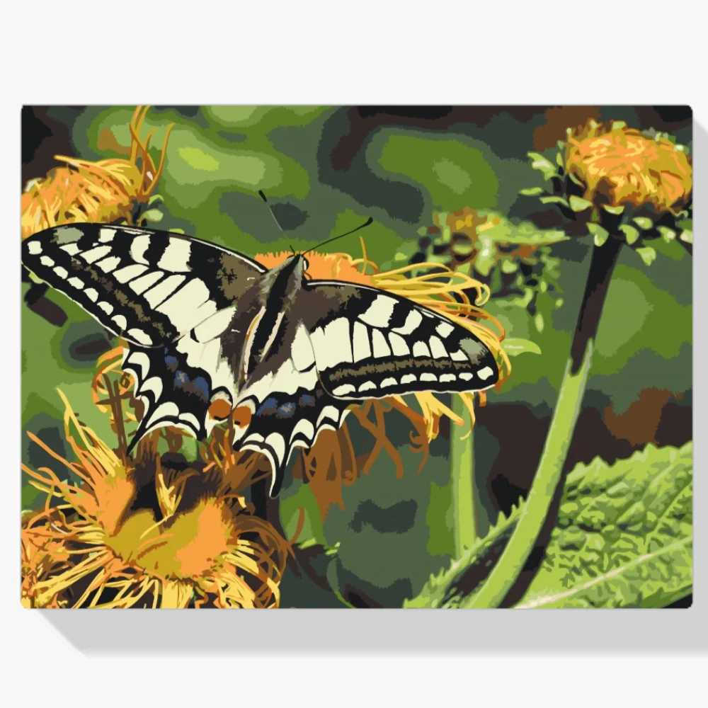 Pintura Diamante - Mariposa sobre diente de león