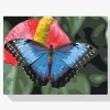Pintura Diamante - Mariposa sobre flor roja