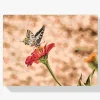 Pintura Diamante - Mariposa sobre flor roja 2