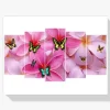 Pintura Diamante - Mariposas de colores sobre flores rosas 5 paneles