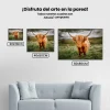 Pintura Diamante - Mirada de un montañés escocés