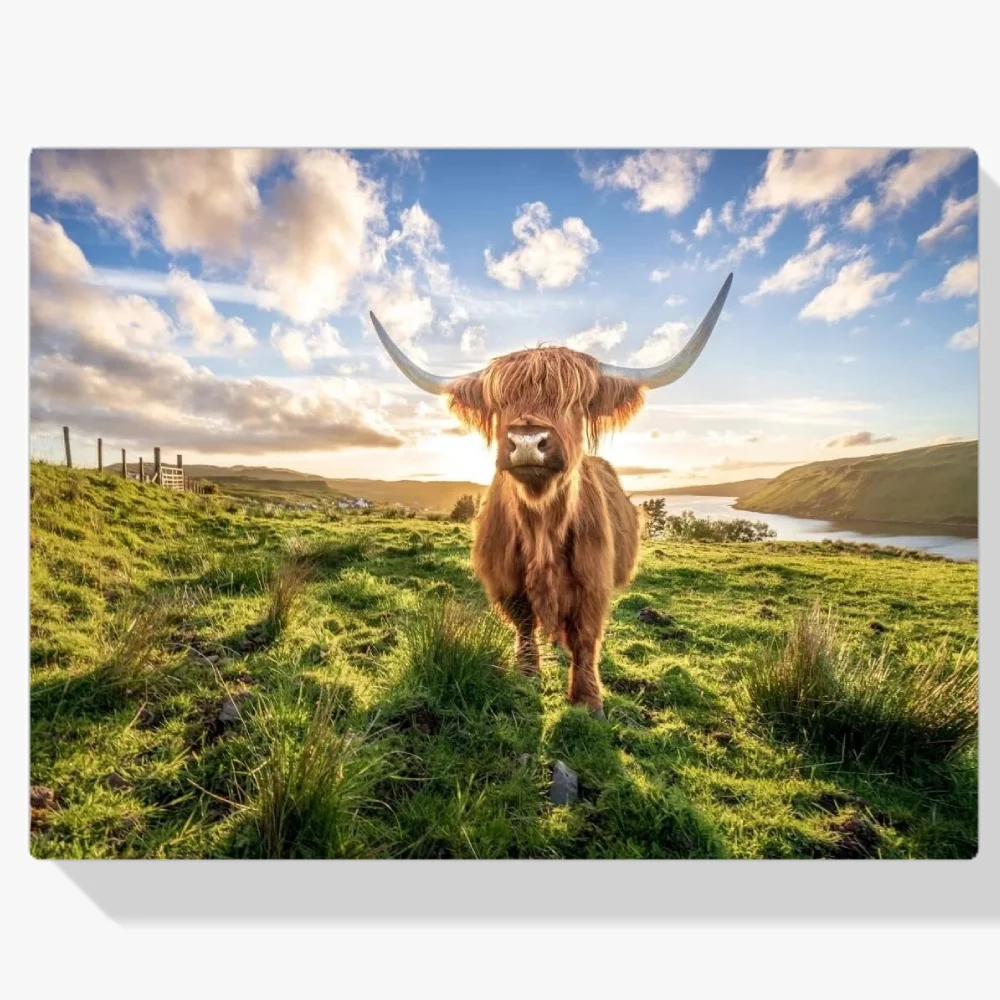 Pintura Diamante - Montañés al atardecer en Escocia