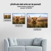 Pintura Diamante - Montañés escocés en el campo mirando a la cámara