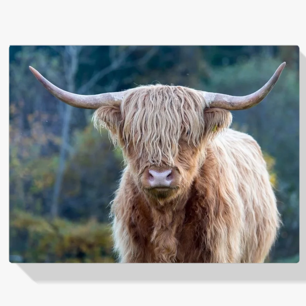 Pintura Diamante - Montañés escocés en el desierto