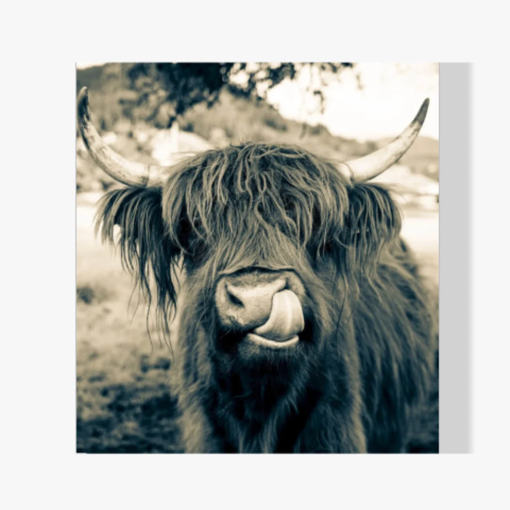 Pintura Diamante - Montañés escocés en estilo sefia