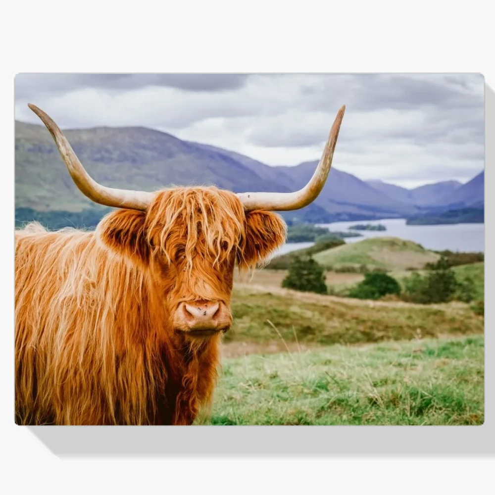 Pintura Diamante - Montañés escocés en un paisaje impresionante