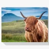 Pintura Diamante - Montañés escocés peludo en la isla de Skye