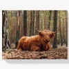 Pintura Diamante - Montañés escocés tumbado en el bosque