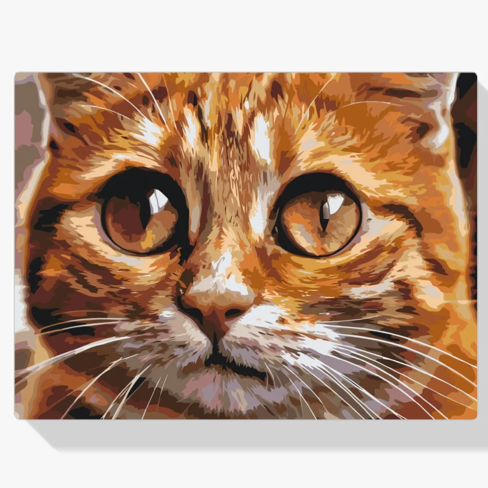 Pintura Diamante - Ojos de gato 2