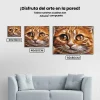 Pintura Diamante - Ojos de gato 2