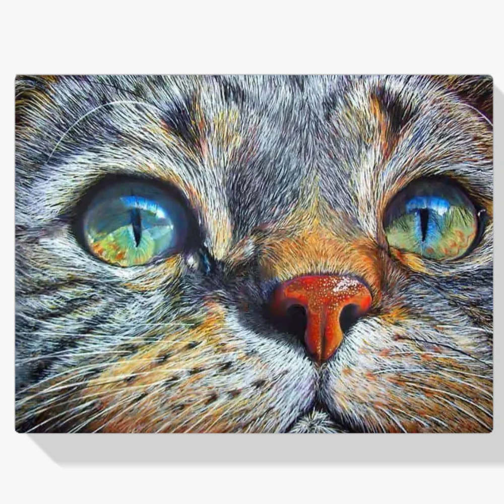 Pintura Diamante - Ojos de gato azules