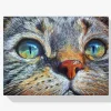Pintura Diamante - Ojos de gato azules