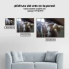 Pintura Diamante - Ovejas